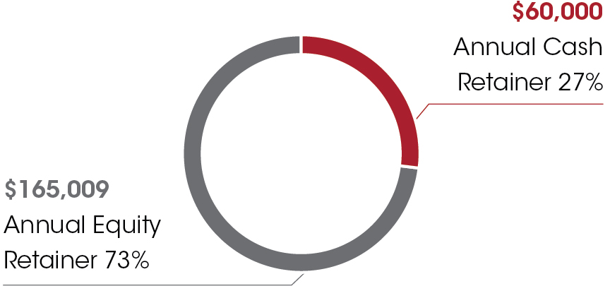 piechart_non-employeedirec.jpg